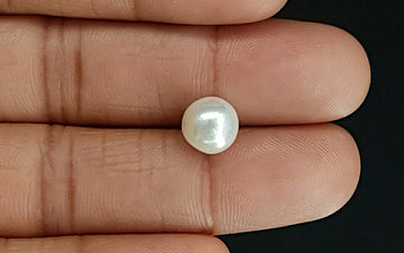 Pearl - SSP 8730 Prime - Quality 4.83 - Carat