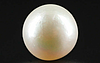 Pearl - SSP 8730 Prime - Quality 4.83 - Carat