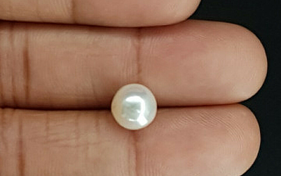 Pearl - SSP 8732 Prime - Quality 4.34 - Carat