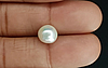 Pearl - SSP 8734 Prime - Quality 5.01 - Carat