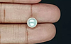 Keshi Pearl - 3.73 Carat Prime Quality  SSP-8737