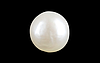 Keshi Pearl - 3.8 Carat Prime Quality  SSP-8748