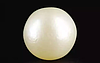 Keshi Pearl - 3.63 Carat Prime Quality  SSP-8751