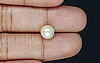 Keshi Pearl - 3.63 Carat Prime Quality  SSP-8751