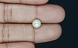 Keshi Pearl - 2.32 Carat Prime Quality  SSP-8767