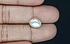 Venezuela Pearl - 3.82 Carat Limited Quality  SSP-8771