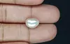 Venezuela Pearl - 4.50 Carat Limited Quality  SSP-8772