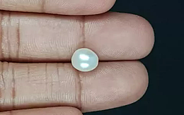 Venezuela Pearl - 3.53 Carat Limited Quality  SSP-8775