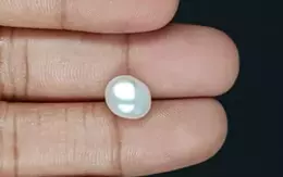 Venezuela Pearl - 4.50 Carat Limited Quality  SSP-8780