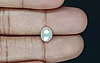 Keshi Pearl - 2.17 Carat Prime Quality  SSP-8788