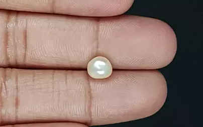 Keshi Pearl - 2.12 Carat Prime Quality  SSP-8790