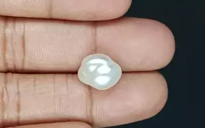 Venezuela Pearl - 7.48 Carat Limited Quality  SSP-8794