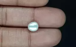 Keshi Pearl - 2.35 Carat Limited Quality  SSP-8799