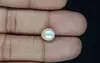 Venezuela Pearl - 3.23 Carat Limited Quality  SSP-8804