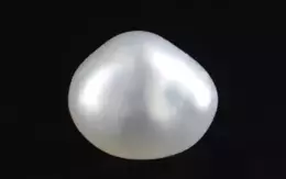 Keshi Pearl - 2.68 Carat Limited Quality  SSP-8809