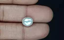 Keshi Pearl - 3.21 Carat Limited Quality  SSP-8812