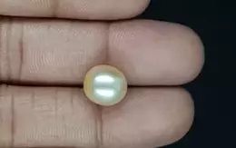 Venezuela Pearl - 7.4 Carat Rare Quality  SSP-8818