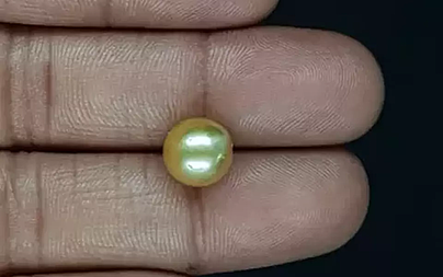 South Sea Pearl - 5.81 Carat Prime Quality  SSP-8820