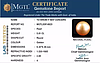 South Sea Pearl - 5.81 Carat Prime Quality  SSP-8820