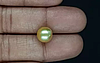 South Sea Pearl - 5.81 Carat Prime Quality  SSP-8820