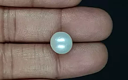 South Sea Pearl - 6.82 Carat Prime Quality  SSP-8821