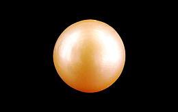 South Sea Pearl - 5.42 Carat Prime Quality  SSP-8822