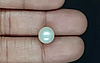 South Sea Pearl - 6.04 Carat Prime Quality  SSP-8827