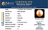 South Sea Pearl - 5.50 Carat Prime Quality  SSP-8829