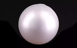 South Sea Pearl - 6.25 Carat Prime Quality  SSP-8830