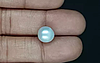 South Sea Pearl - 6.25 Carat Prime Quality  SSP-8830