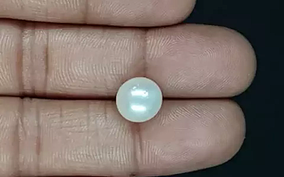 South Sea Pearl - 6.35 Carat Prime Quality  SSP-8833