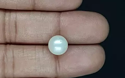 South Sea Pearl - 5.85 Carat Prime Quality  SSP-8834