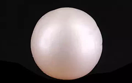 South Sea Pearl - 5.85 Carat Prime Quality  SSP-8834