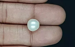 South Sea Pearl - 5.46 Carat Prime Quality  SSP-8835