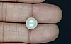 South Sea Pearl - 5.46 Carat Prime Quality  SSP-8835