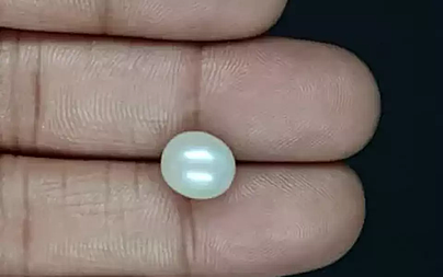 South Sea Pearl - 5.13 Carat Prime Quality  SSP-8836