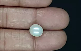 South Sea Pearl - 5.13 Carat Prime Quality  SSP-8836