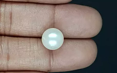 South Sea Pearl - 8.52 Carat Prime Quality  SSP-8838