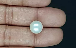 South Sea Pearl - 8.66 Carat Prime Quality  SSP-8840