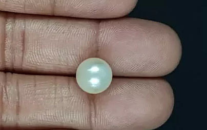 South Sea Pearl - 7.25 Carat Prime Quality  SSP-8841