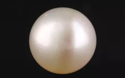 South Sea Pearl - 7.25 Carat Prime Quality  SSP-8841