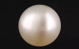 South Sea Pearl - 7.25 Carat Prime Quality  SSP-8841