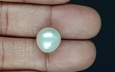 South Sea Pearl - 10.59 Carat Prime Quality  SSP-8842