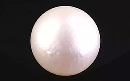 South Sea Pearl - 9.04 Carat Prime Quality  SSP-8843