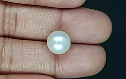 South Sea Pearl - 9.04 Carat Prime Quality  SSP-8843