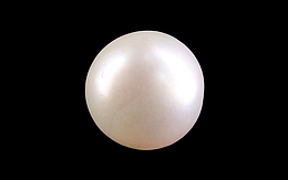 South Sea Pearl - 13.62 Carat Prime Quality  SSP-8845