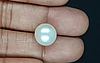 South Sea Pearl - 13.62 Carat Prime Quality  SSP-8845