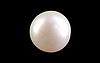 South Sea Pearl - 13.62 Carat Prime Quality  SSP-8845