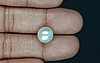 South Sea Pearl - 6.97 Carat Prime Quality  SSP-8847