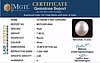 South Sea Pearl - 7.68 Carat Prime Quality  SSP-8848